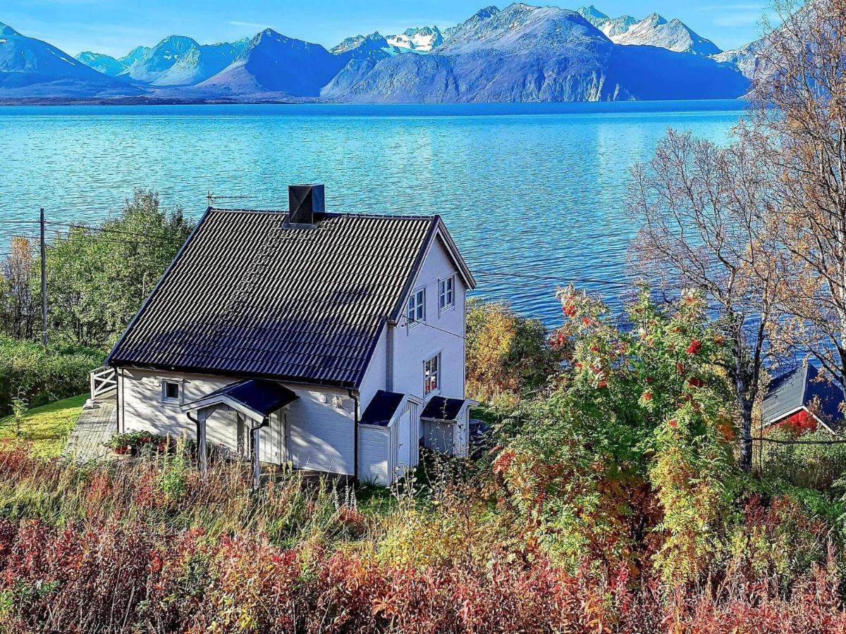 Ii * Olderdalen